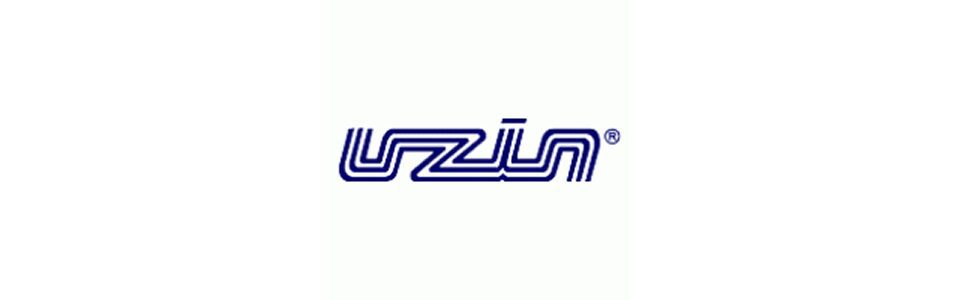 Uzin