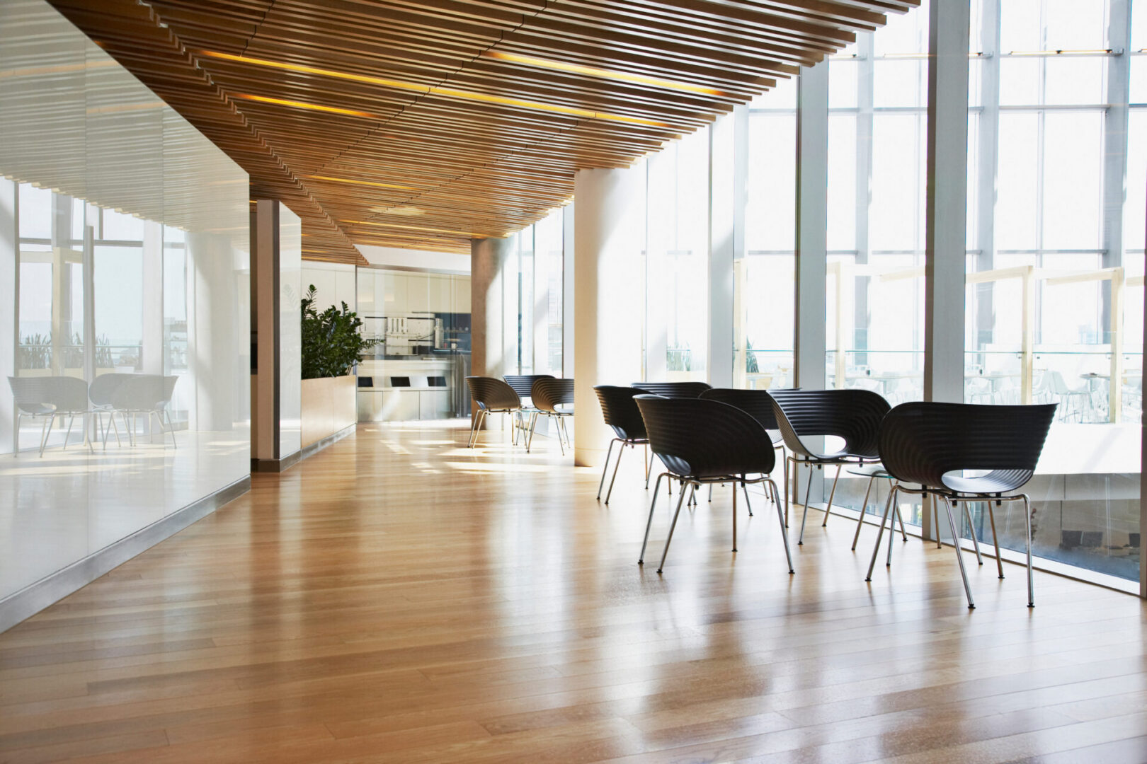 Modern lounge with chairs and wooden floor.